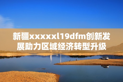 新疆xxxxxl19dfm创新发展助力区域经济转型升级