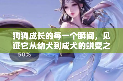 狗狗成长的每一个瞬间，见证它从幼犬到成犬的蜕变之旅