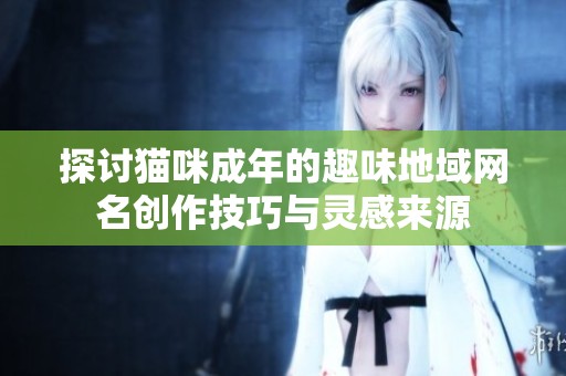 探讨猫咪成年的趣味地域网名创作技巧与灵感来源