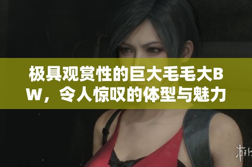 极具观赏性的巨大毛毛大BW，令人惊叹的体型与魅力