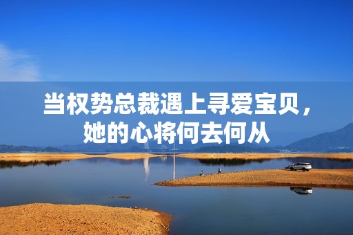 当权势总裁遇上寻爱宝贝，她的心将何去何从