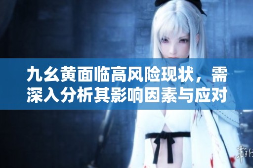 九幺黄面临高风险现状，需深入分析其影响因素与应对措施