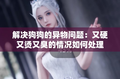 解决狗狗的异物问题：又硬又烫又臭的情况如何处理