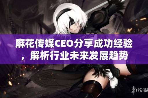 麻花传媒CEO分享成功经验，解析行业未来发展趋势