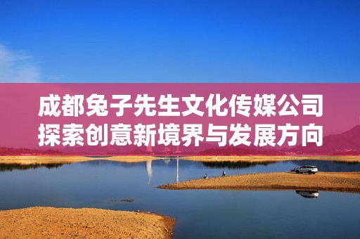 成都兔子先生文化传媒公司探索创意新境界与发展方向