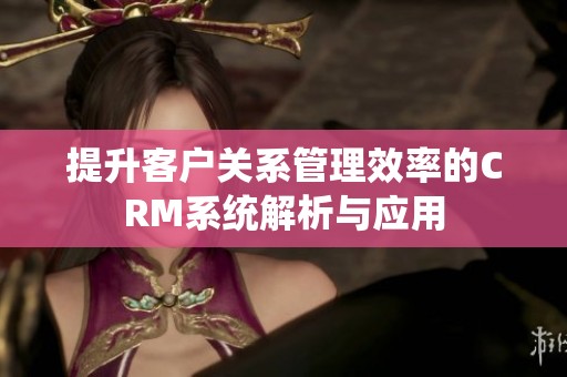 提升客户关系管理效率的CRM系统解析与应用