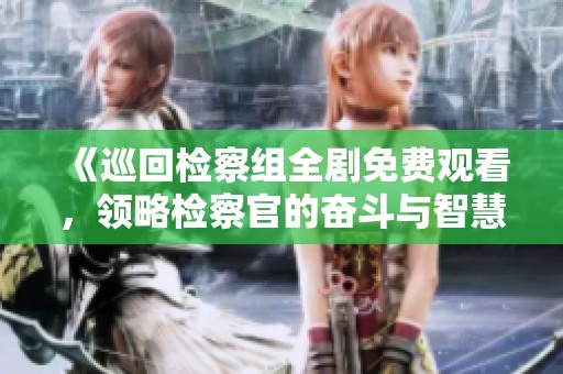 《巡回检察组全剧免费观看，领略检察官的奋斗与智慧》