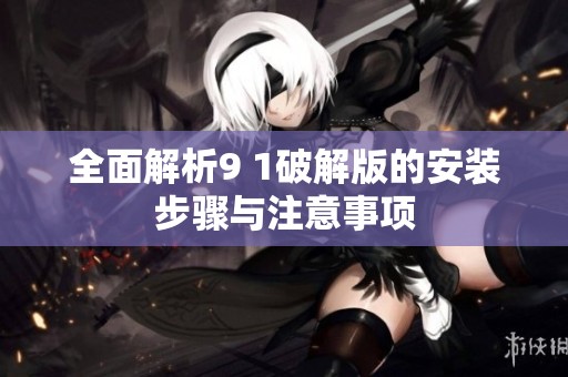 全面解析9 1破解版的安装步骤与注意事项