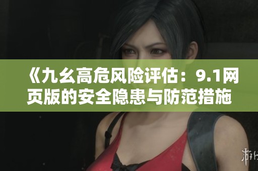 《九幺高危风险评估：9.1网页版的安全隐患与防范措施》