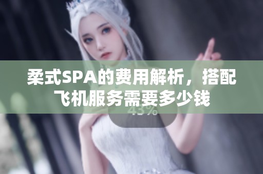柔式SPA的费用解析，搭配飞机服务需要多少钱