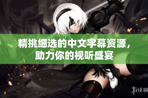 精挑细选的中文字幕资源，助力你的视听盛宴