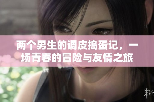 两个男生的调皮捣蛋记，一场青春的冒险与友情之旅