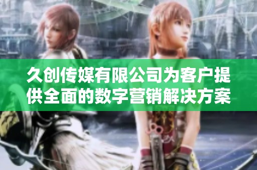 久创传媒有限公司为客户提供全面的数字营销解决方案