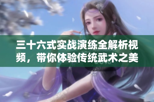 三十六式实战演练全解析视频，带你体验传统武术之美