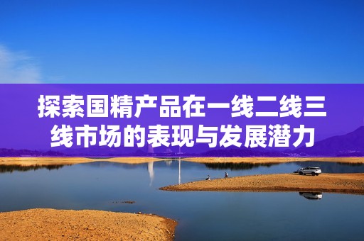 探索国精产品在一线二线三线市场的表现与发展潜力