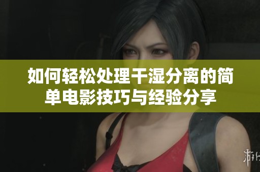 如何轻松处理干湿分离的简单电影技巧与经验分享