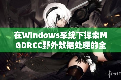 在Windows系统下探索MGDRCC野外数据处理的全新方法