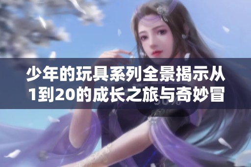少年的玩具系列全景揭示从1到20的成长之旅与奇妙冒险