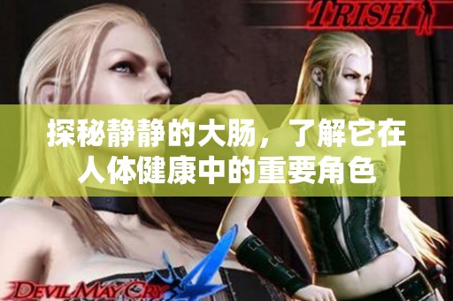 探秘静静的大肠，了解它在人体健康中的重要角色