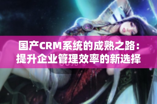 国产CRM系统的成熟之路：提升企业管理效率的新选择