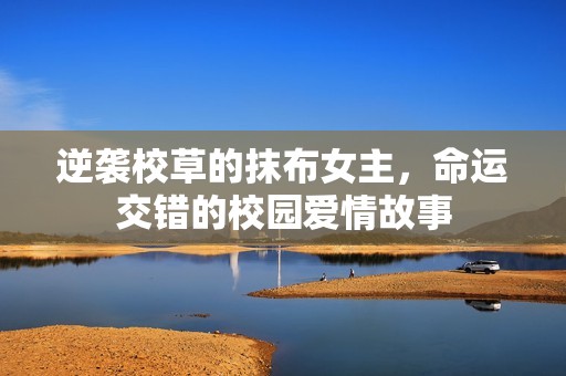 逆袭校草的抹布女主，命运交错的校园爱情故事