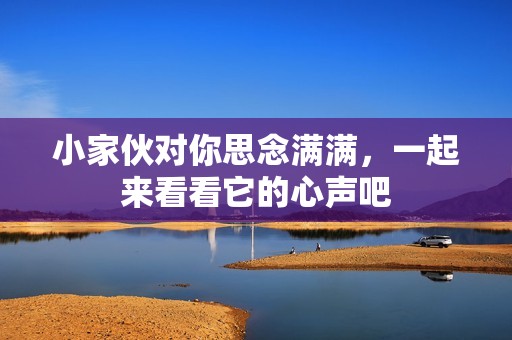 小家伙对你思念满满，一起来看看它的心声吧
