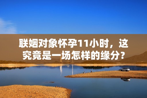 联姻对象怀孕11小时，这究竟是一场怎样的缘分？