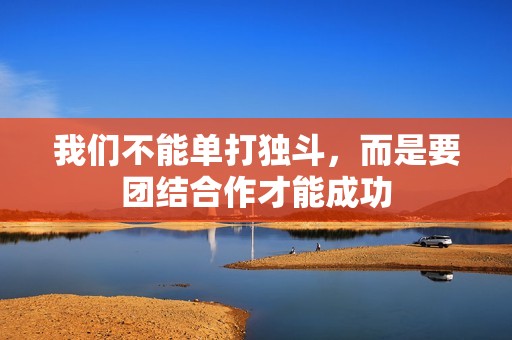 我们不能单打独斗，而是要团结合作才能成功