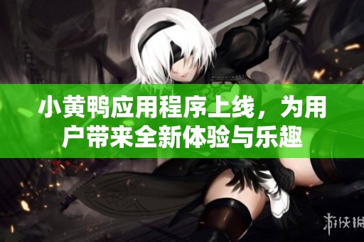 小黄鸭应用程序上线，为用户带来全新体验与乐趣