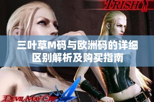 三叶草M码与欧洲码的详细区别解析及购买指南