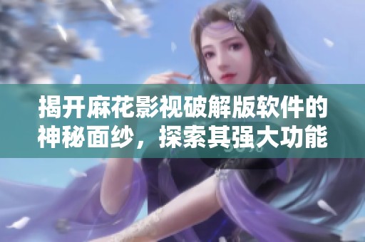 揭开麻花影视破解版软件的神秘面纱，探索其强大功能分析
