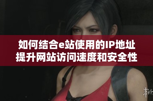 如何结合e站使用的IP地址提升网站访问速度和安全性