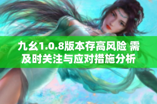 九幺1.0.8版本存高风险 需及时关注与应对措施分析