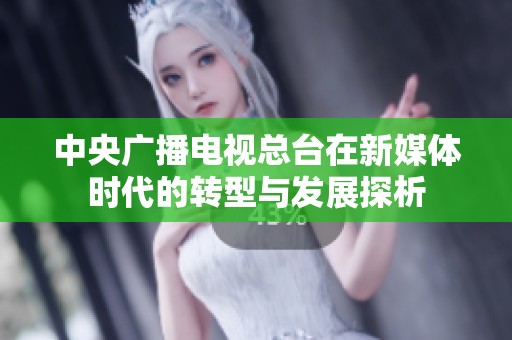 中央广播电视总台在新媒体时代的转型与发展探析