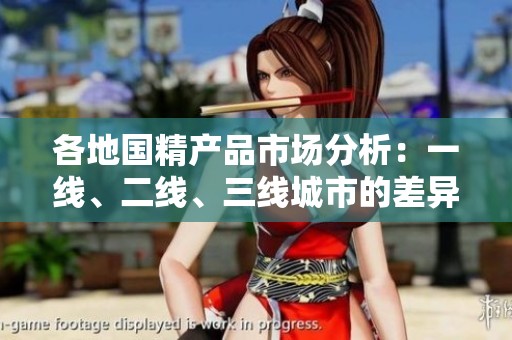 各地国精产品市场分析：一线、二线、三线城市的差异与机遇