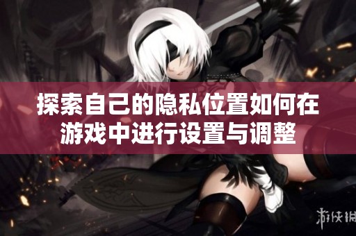 探索自己的隐私位置如何在游戏中进行设置与调整