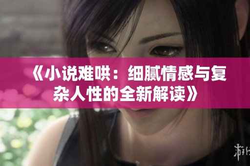 《小说难哄：细腻情感与复杂人性的全新解读》
