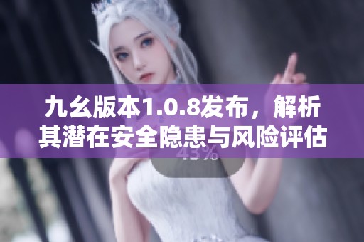 九幺版本1.0.8发布，解析其潜在安全隐患与风险评估