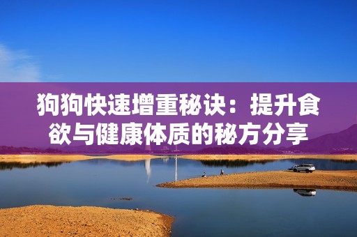 狗狗快速增重秘诀：提升食欲与健康体质的秘方分享
