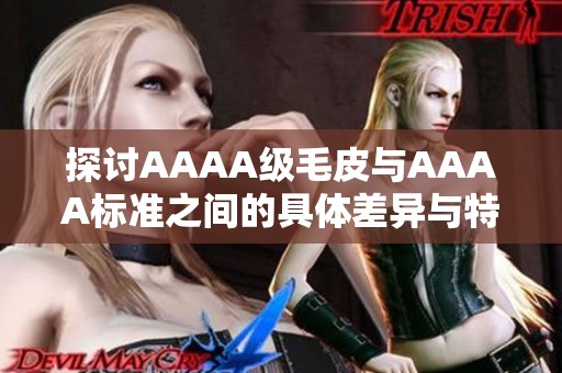 探讨AAAA级毛皮与AAAA标准之间的具体差异与特点