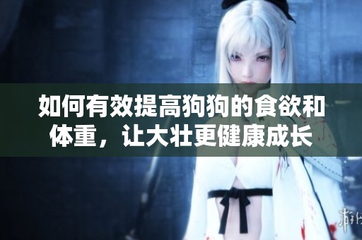 如何有效提高狗狗的食欲和体重，让大壮更健康成长