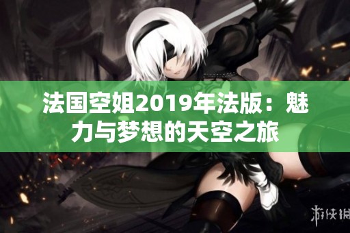 法国空姐2019年法版：魅力与梦想的天空之旅