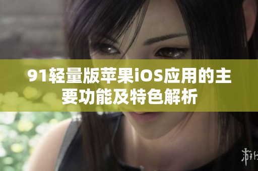 91轻量版苹果iOS应用的主要功能及特色解析