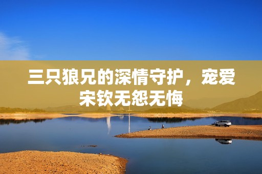 三只狼兄的深情守护，宠爱宋钦无怨无悔