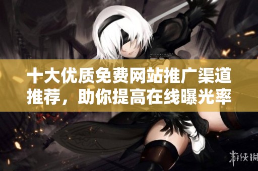 十大优质免费网站推广渠道推荐，助你提高在线曝光率