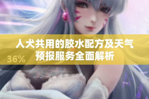 人犬共用的胶水配方及天气预报服务全面解析