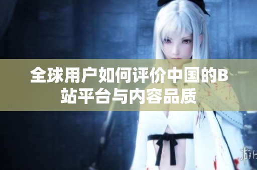 全球用户如何评价中国的B站平台与内容品质
