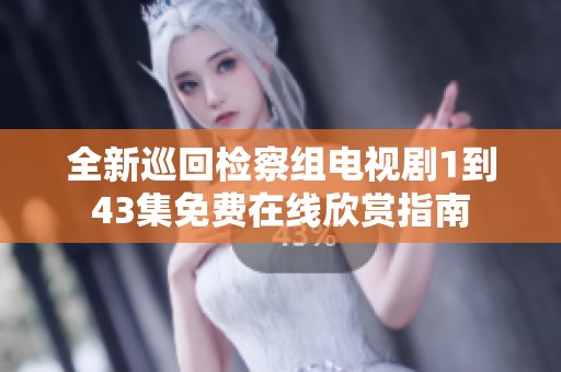 全新巡回检察组电视剧1到43集免费在线欣赏指南