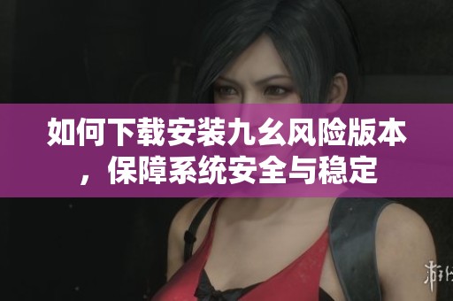 如何下载安装九幺风险版本，保障系统安全与稳定