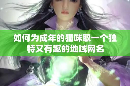 如何为成年的猫咪取一个独特又有趣的地域网名